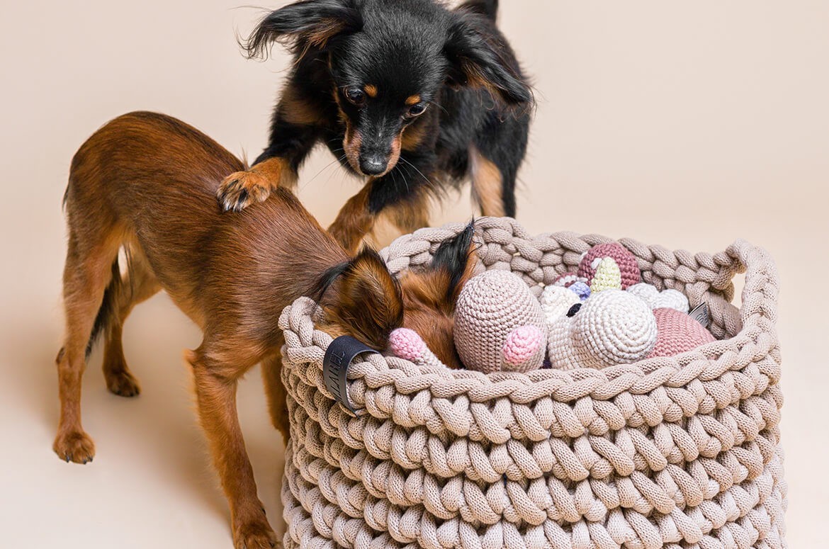 Dog toys basket - a practical gadget and a designer addition to your home interior